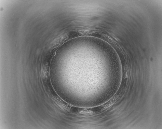 X0000060810515200511141510