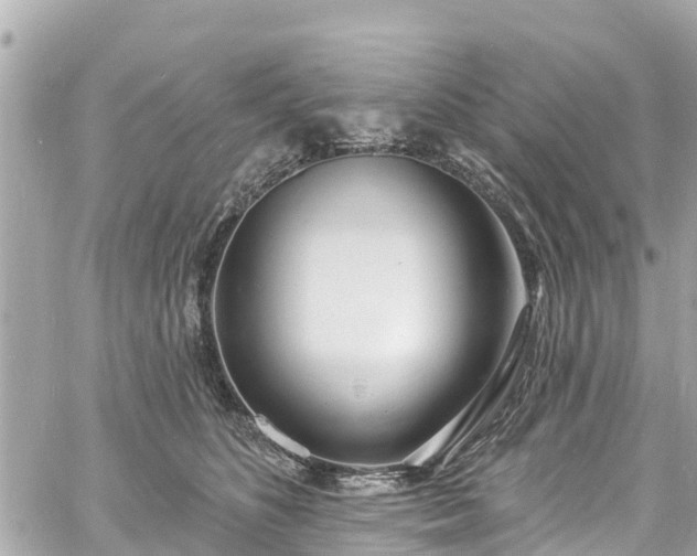 X0000060810516200511141510