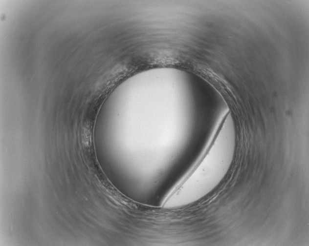 X0000060810517200511141510