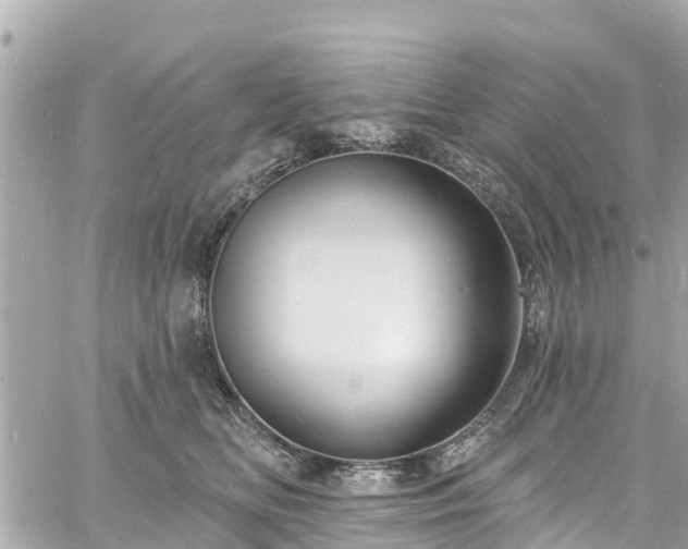 X0000060810518200511141509