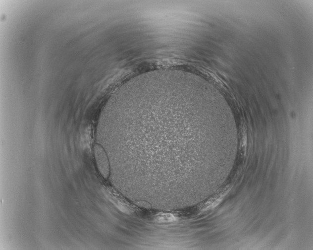 X0000060810519200511141509