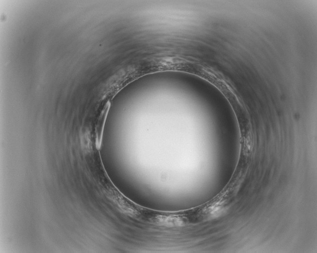 X0000060810520200511141509