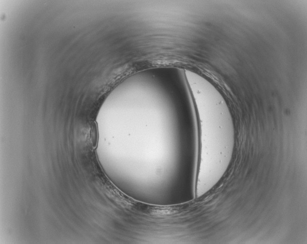 X0000060810521200511141509