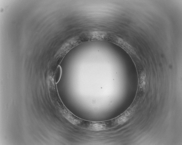 X0000060810522200511141509