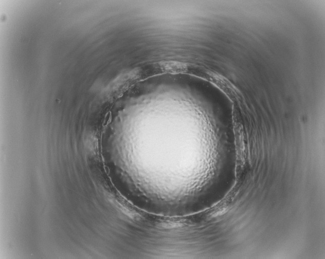 X0000060810523200511141509