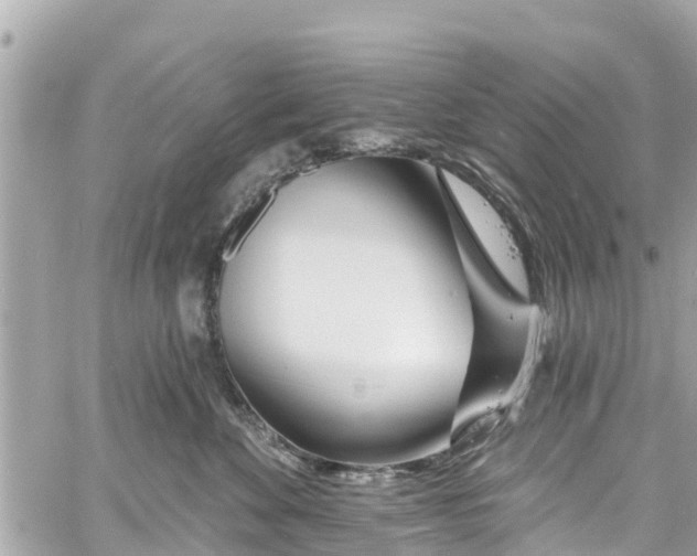 X0000060810524200511141509