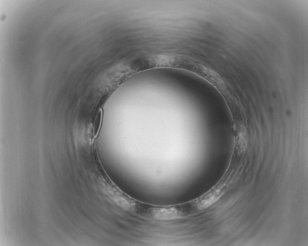 X0000060810525200511141509