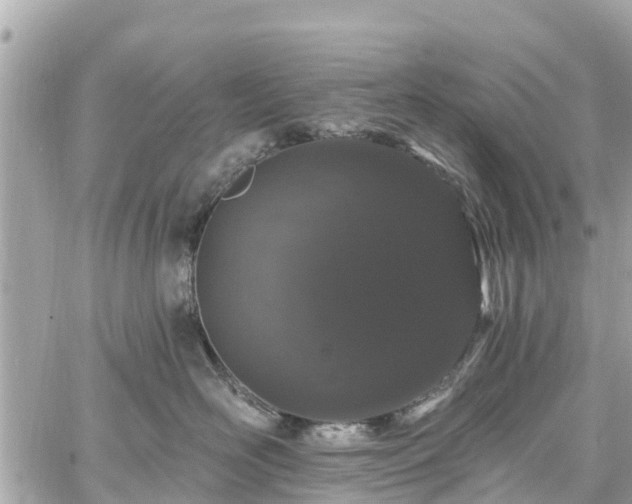 X0000060810526200511141509