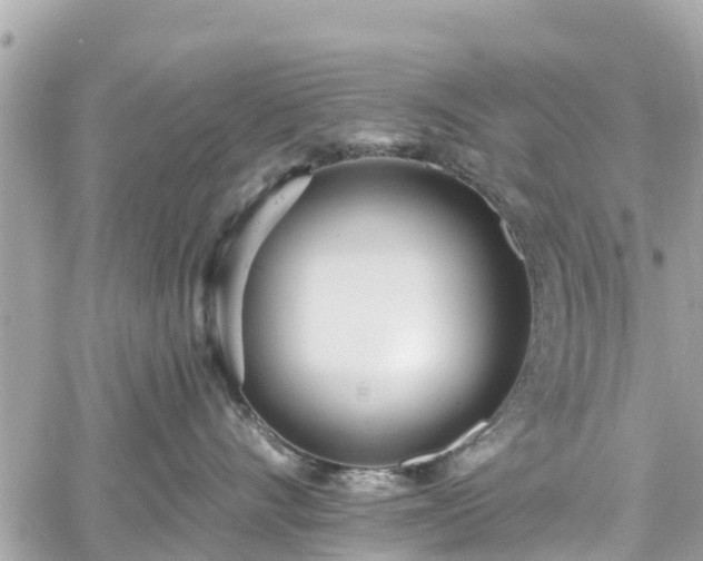 X0000060810528200511141509