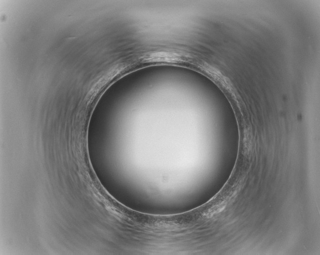 X0000060810529200511141509