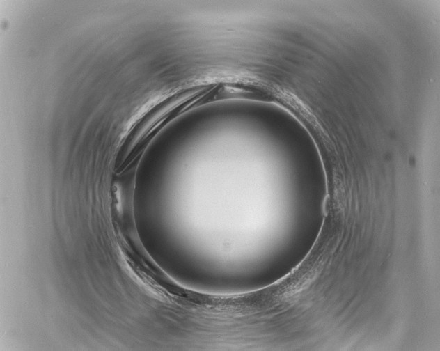 X0000060810530200511141509