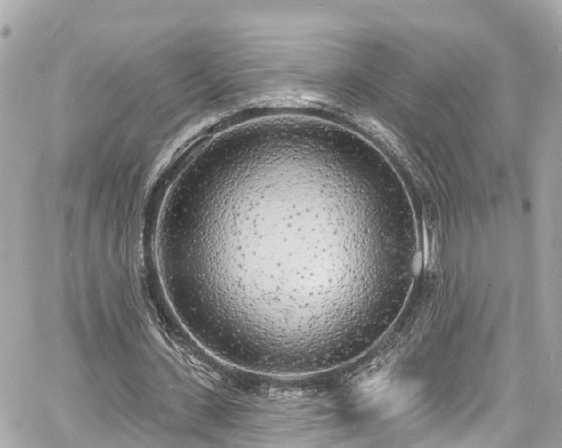 X0000060810531200511141509