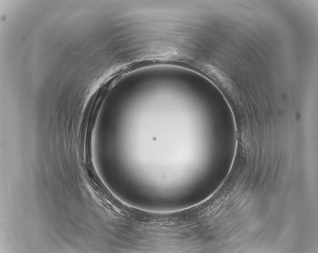 X0000060810532200511141509