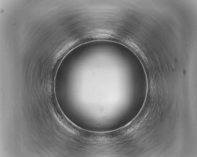 X0000060810533200511141509