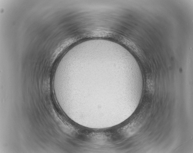 X0000060810534200511141509