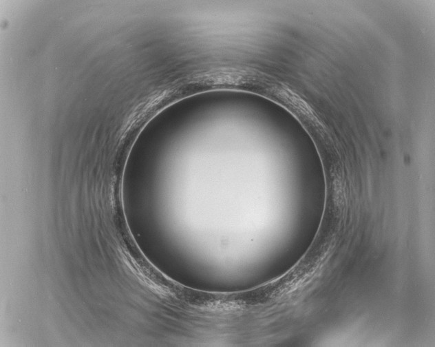 X0000060810537200511141509