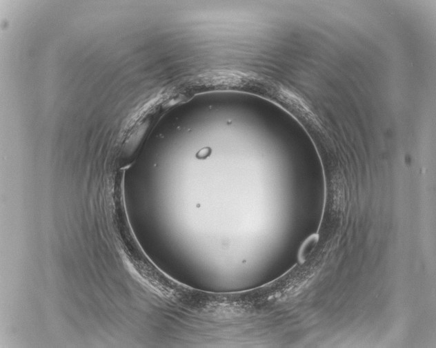 X0000060810538200511141509