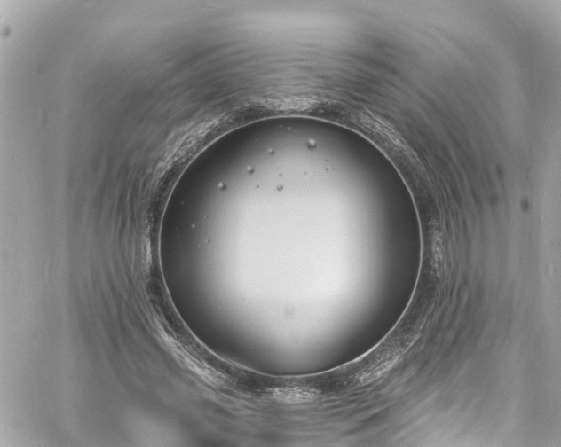 X0000060810541200511141509