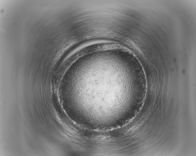 X0000060810542200511141509