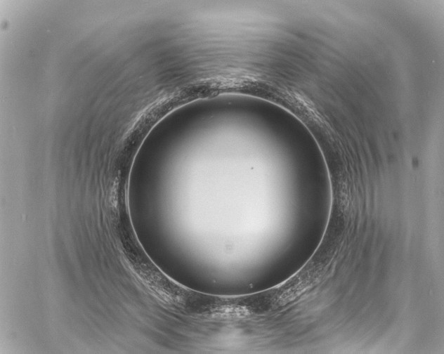 X0000060810543200511141509