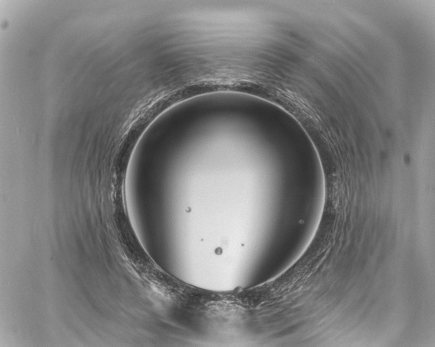 X0000060810544200511141509