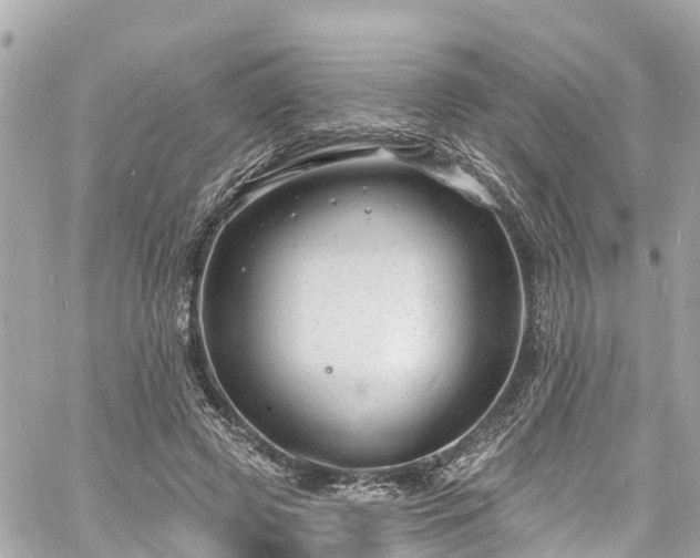 X0000060810545200511141509