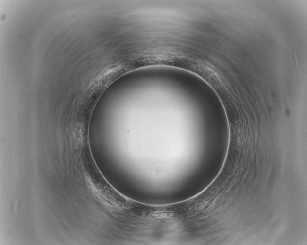 X0000060810546200511141509