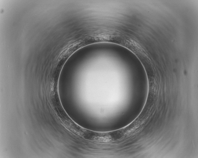 X0000060810548200511141509