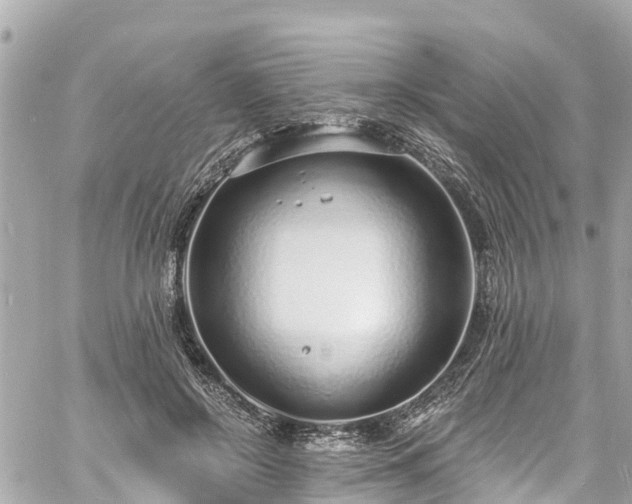 X0000060810550200511141509