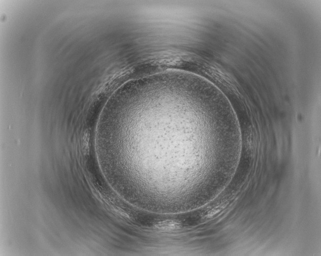 X0000060810551200511141509