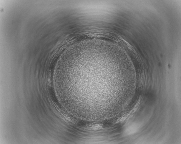 X0000060810553200511141509