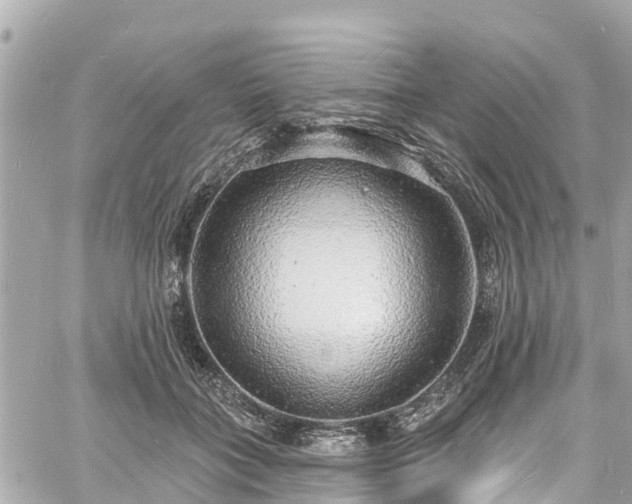 X0000060810555200511141509