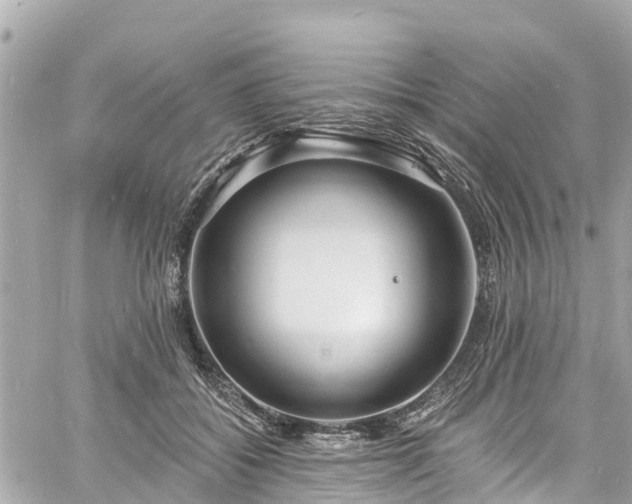 X0000060810556200511141509