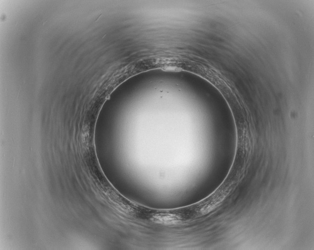 X0000060810557200511141509