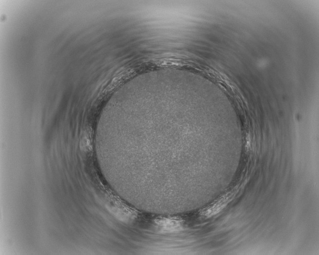 X0000060810561200511141509