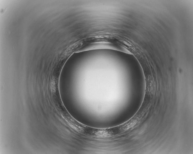 X0000060810562200511141509