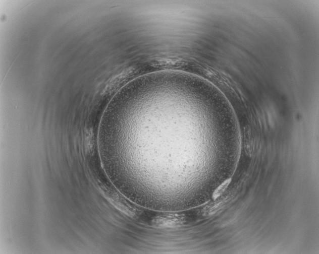 X0000060810563200511141509