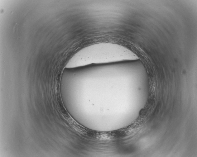 X0000060810565200511141509