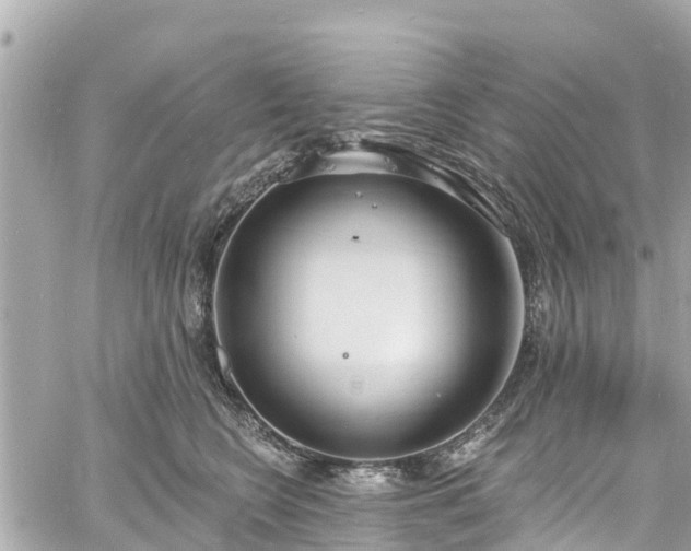 X0000060810566200511141509