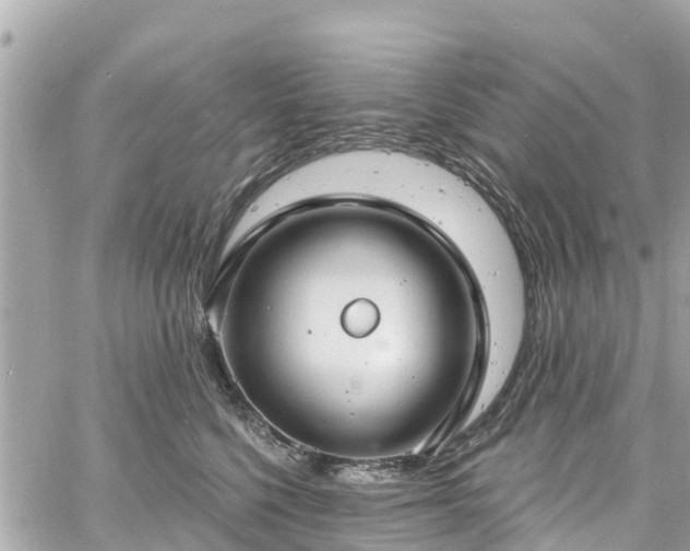 X0000060810568200511141509