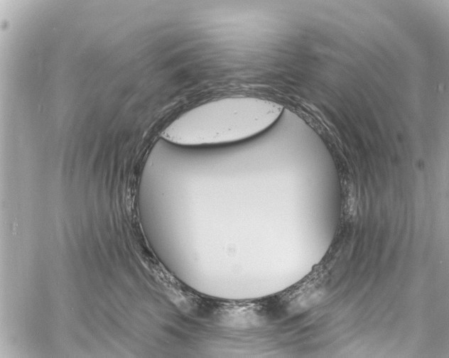 X0000060810569200511141509