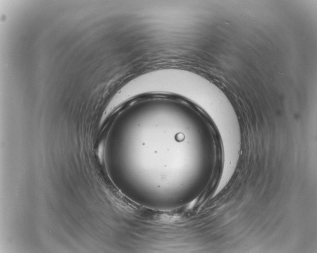 X0000060810570200511141509