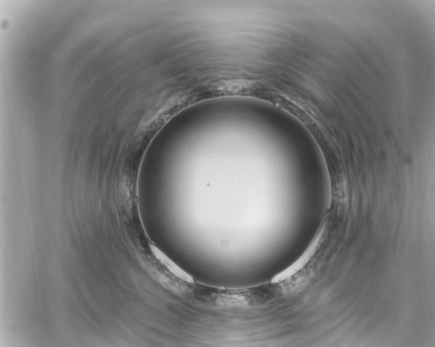 X0000060810572200511141509