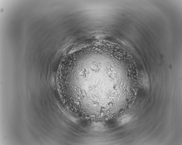 X0000060810573200511141509