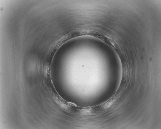 X0000060810574200511141509