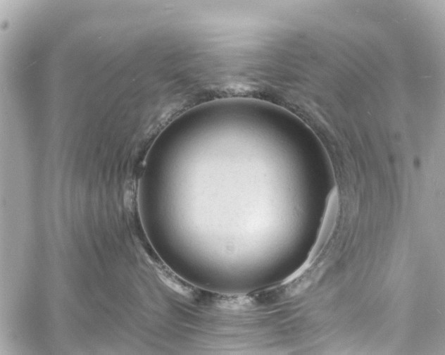 X0000060810576200511141509