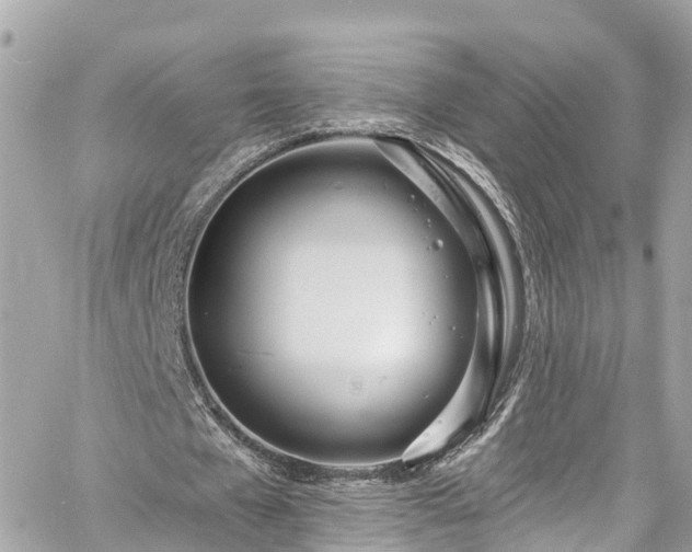 X0000060810577200511141508