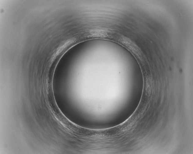 X0000060810578200511141508