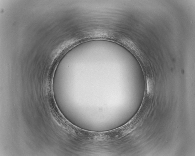 X0000060810579200511141508