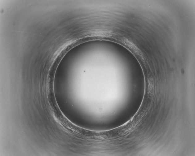 X0000060810580200511141508